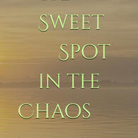 The Sweet Spot in the Chaos by Jonathan Potter The Sweet Spot in the Chaos by Jonathan Potter
